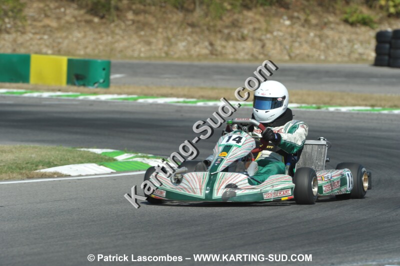 DSC_ (1132).JPG